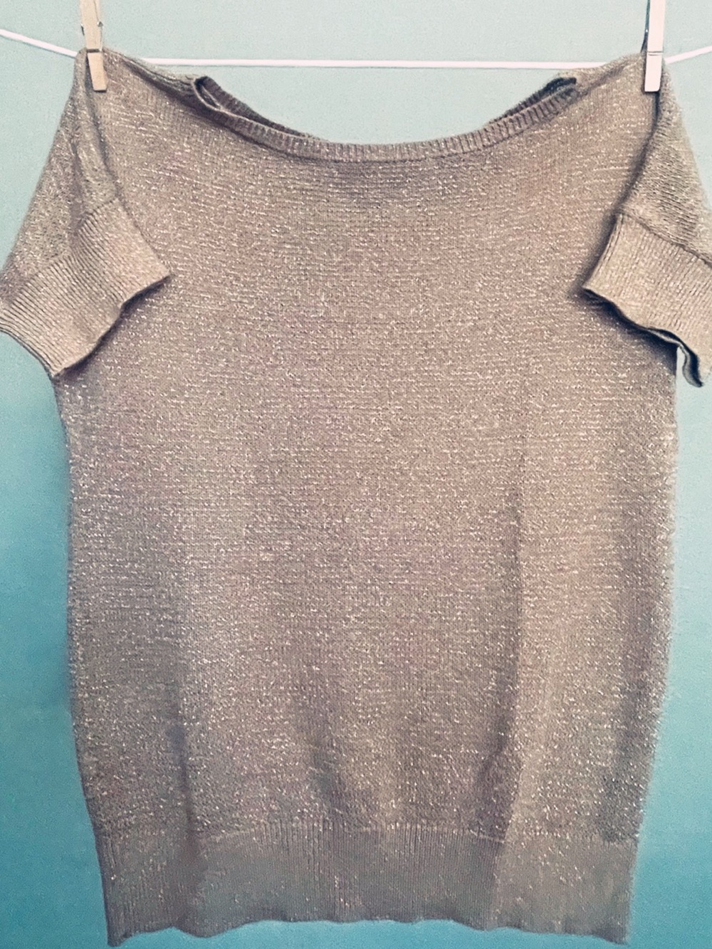 Women’s Sparkle Short-Sleeve Sweater - Metallic Taupe
